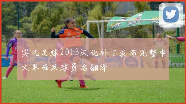 实况足球2013汉化补丁发布完整中文界面及球员名翻译