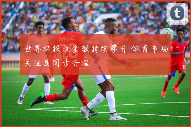 世界杯投注金额持续攀升 体育市场关注度同步升温