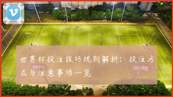 世界杯投注技巧规则解析：投注方式与注意事项一览